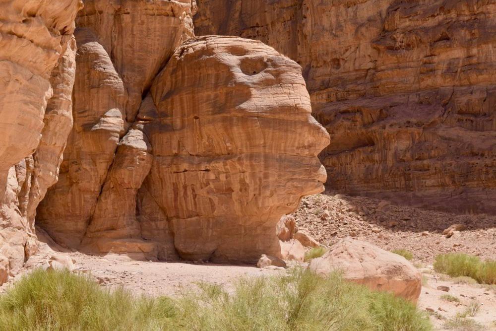 Harmony Luxury Camp Hotel Wadi Rum Exterior foto