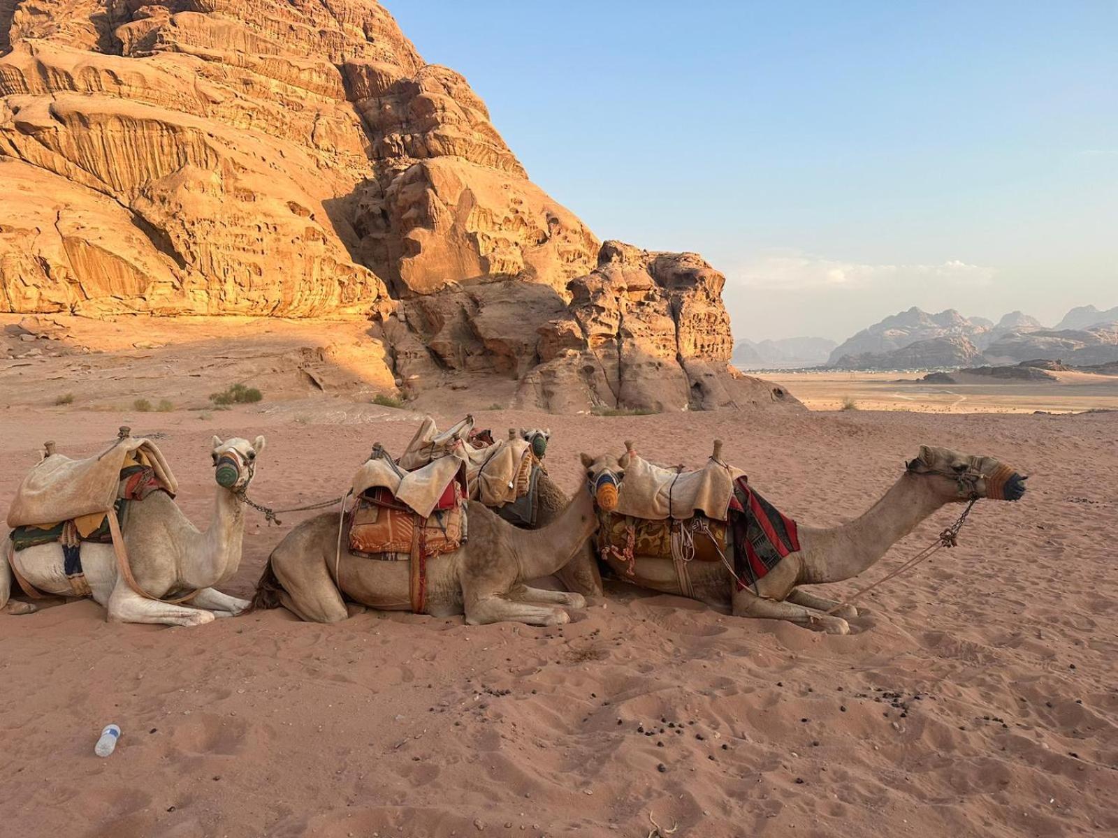 Harmony Luxury Camp Hotel Wadi Rum Exterior foto